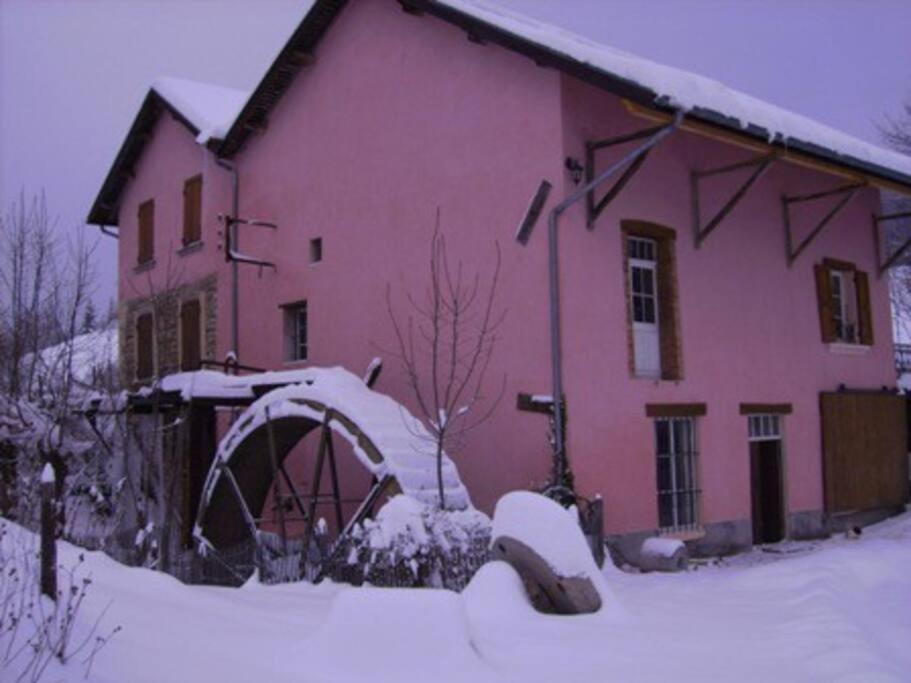 Le Moulin Rose